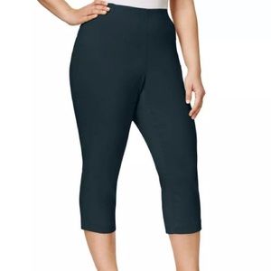 Style & Co Capri Pants Size 24W Blue Capris
